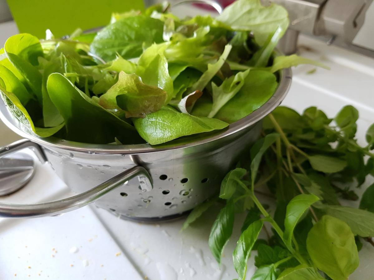 Salat mit Flusskrebsen und schwarzem Reis - Rezept - Bild Nr. 3031