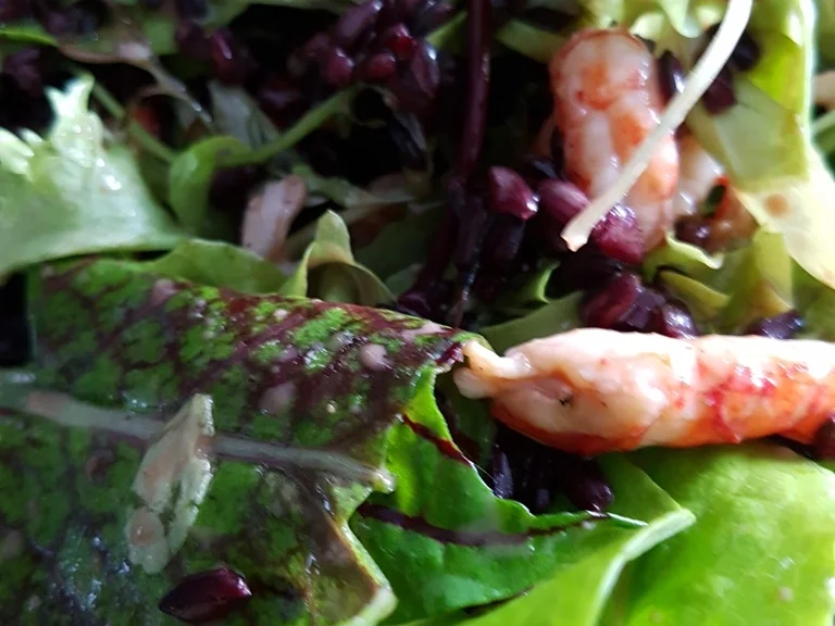 Rezept: Salat mit Flusskrebsen und schwarzem Reis Bild Nr. 3033 Salat mit Flusskrebsen und schwarzem Reis - Rezept - Bild Nr. 3033