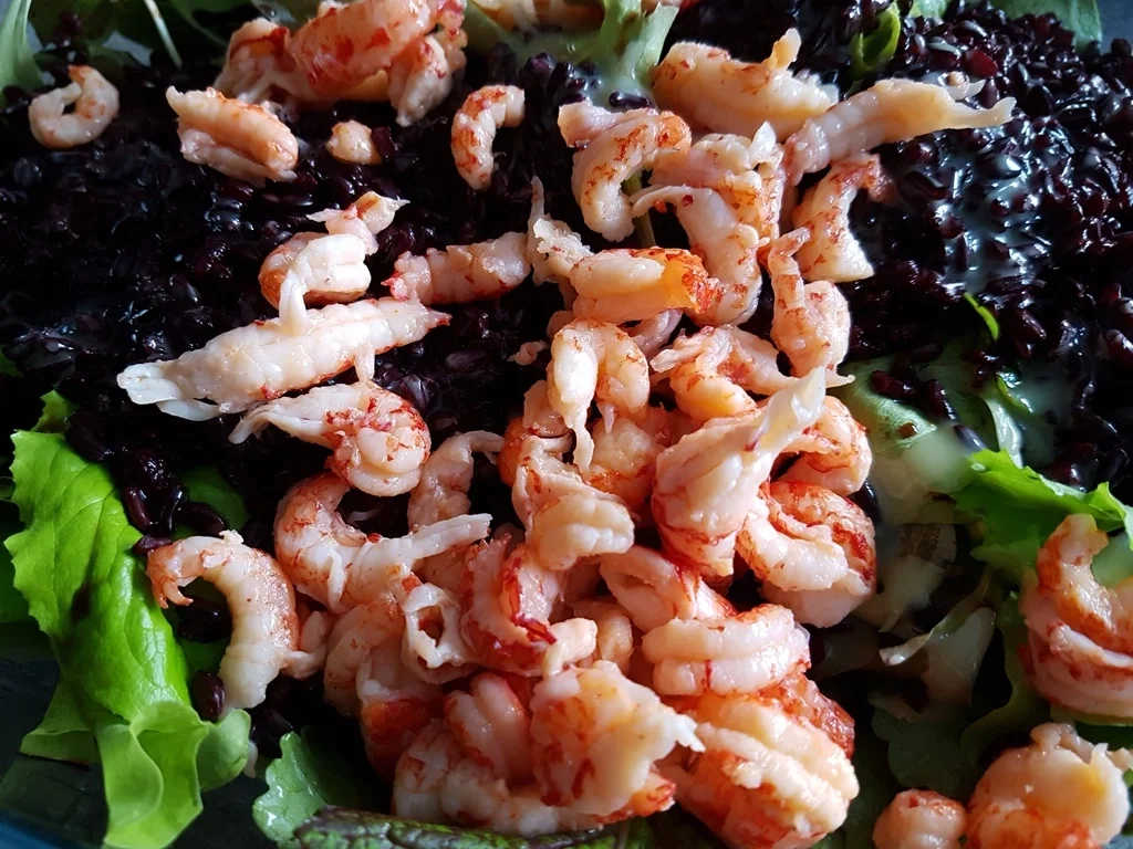 Rezept: Salat mit Flusskrebsen und schwarzem Reis Bild Nr. 3035 Salat mit Flusskrebsen und schwarzem Reis - Rezept - Bild Nr. 3035