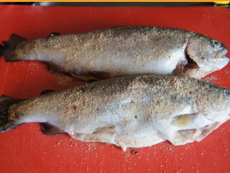 Forelle mit Ananas-Salsa - Rezept - Bild Nr. 3034