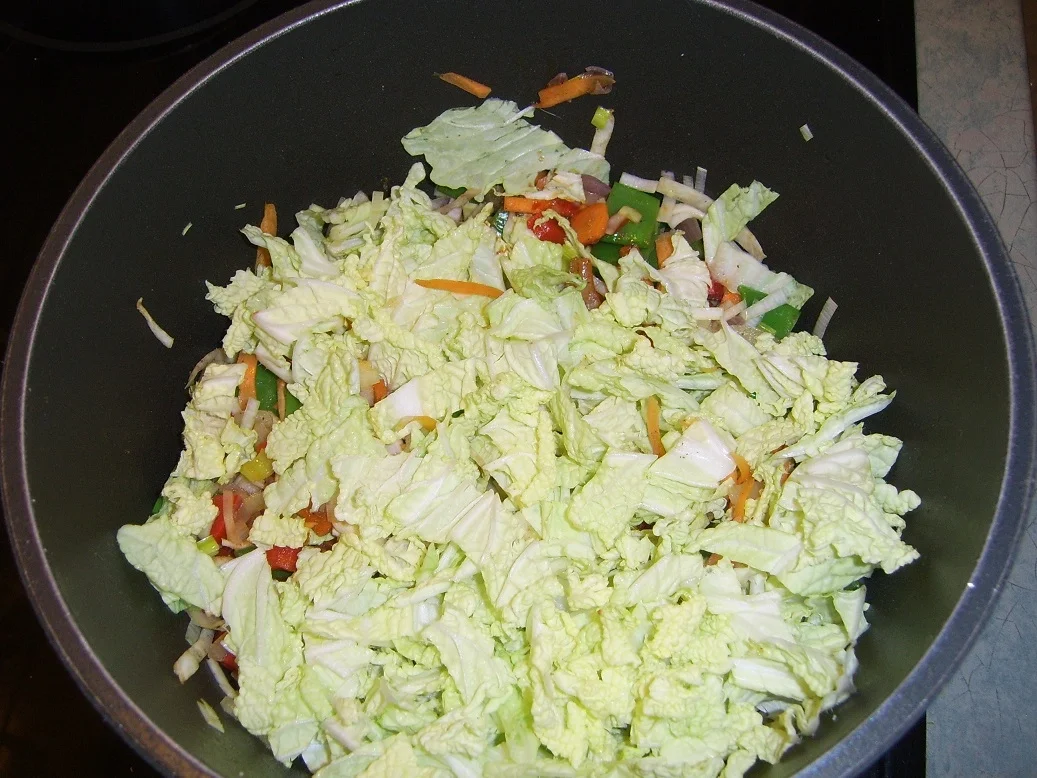 Rezept: Gänsesuppe Asiastyle Bild Nr. 9 Gänsesuppe Asiastyle - Rezept - Bild Nr. 9