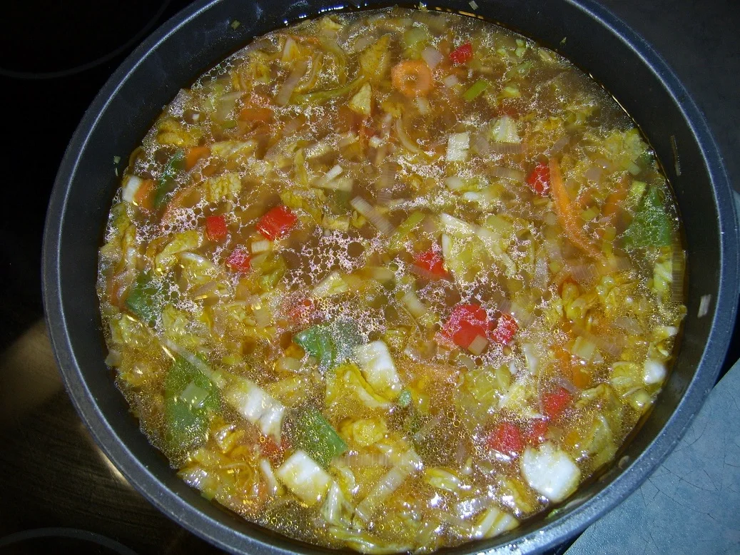 Rezept: Gänsesuppe Asiastyle Bild Nr. 11 Gänsesuppe Asiastyle - Rezept - Bild Nr. 11