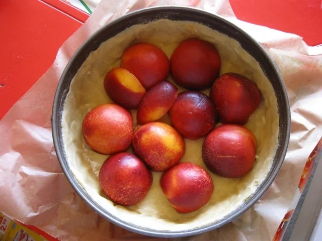 Rezept: Quark Schmand Kuchen mit Nektarinen Bild Nr. 3053 Quark Schmand Kuchen mit Nektarinen - Rezept - Bild Nr. 3053