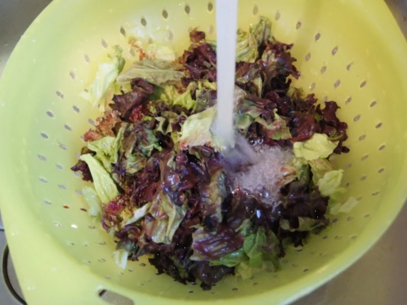 Meersalz-Kümmel-Drillinge mit luftgetrockneter-Mettwurst und Lollo-Rosso-Salat - Rezept - Bild Nr. 3050