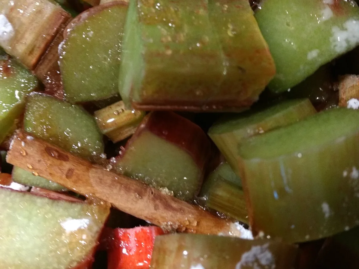 BiNe` S RHABARBERKOMPOTT - Rezept - Bild Nr. 2