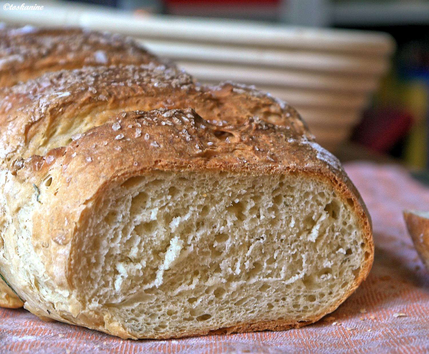 Thymian-Joghurt-Brot - Rezept mit Bild - kochbar.de