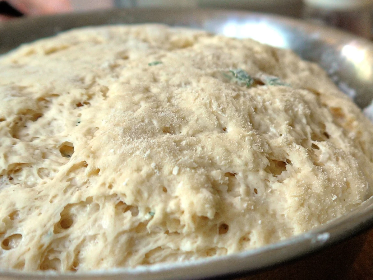 Thymian-Joghurt-Brot - Rezept - Bild Nr. 8