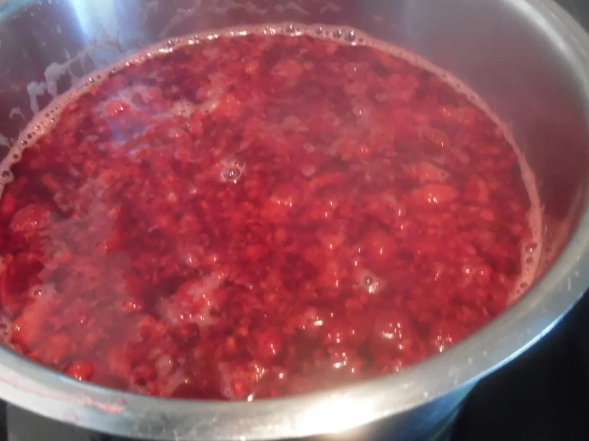 Sirup für Getränke, Slush-Eis und Desserts - Rezept - Bild Nr. 3096