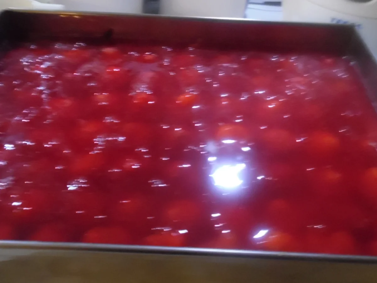 Erdbeer-Quark-Schnitten - Rezept - Bild Nr. 3096