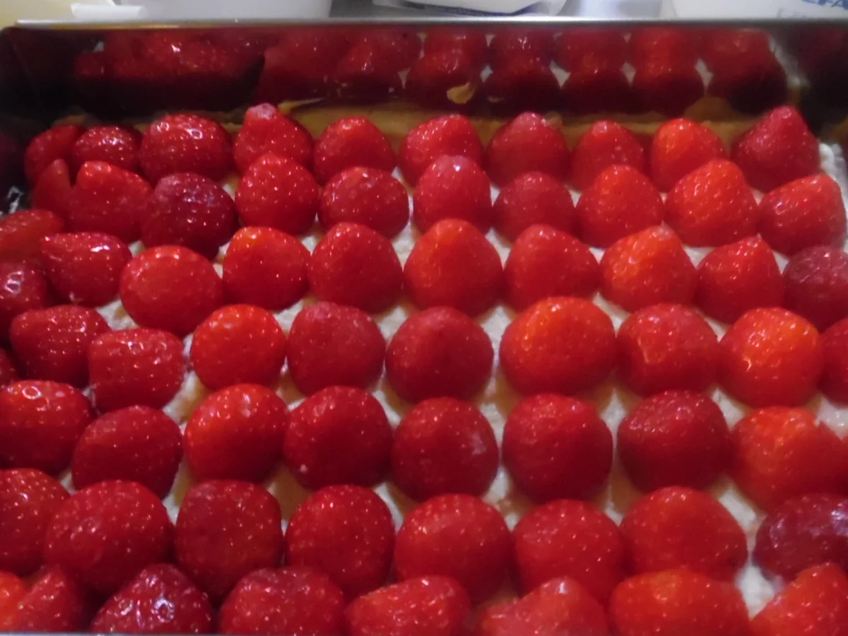 Erdbeer-Quark-Schnitten - Rezept - Bild Nr. 3097