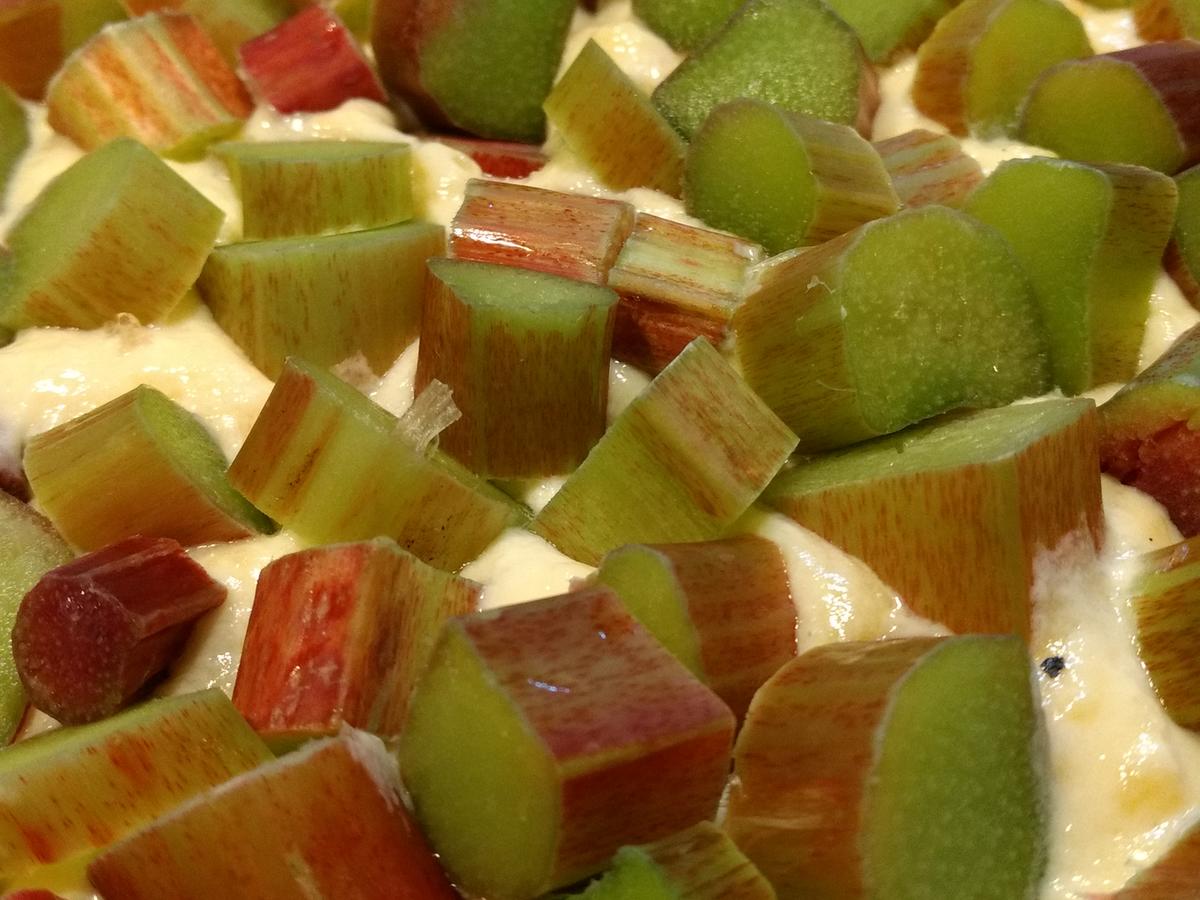 BiNe` S RHABARBERKUCHEN MIT VANILLEPUDDING - einfach - von Bine13100