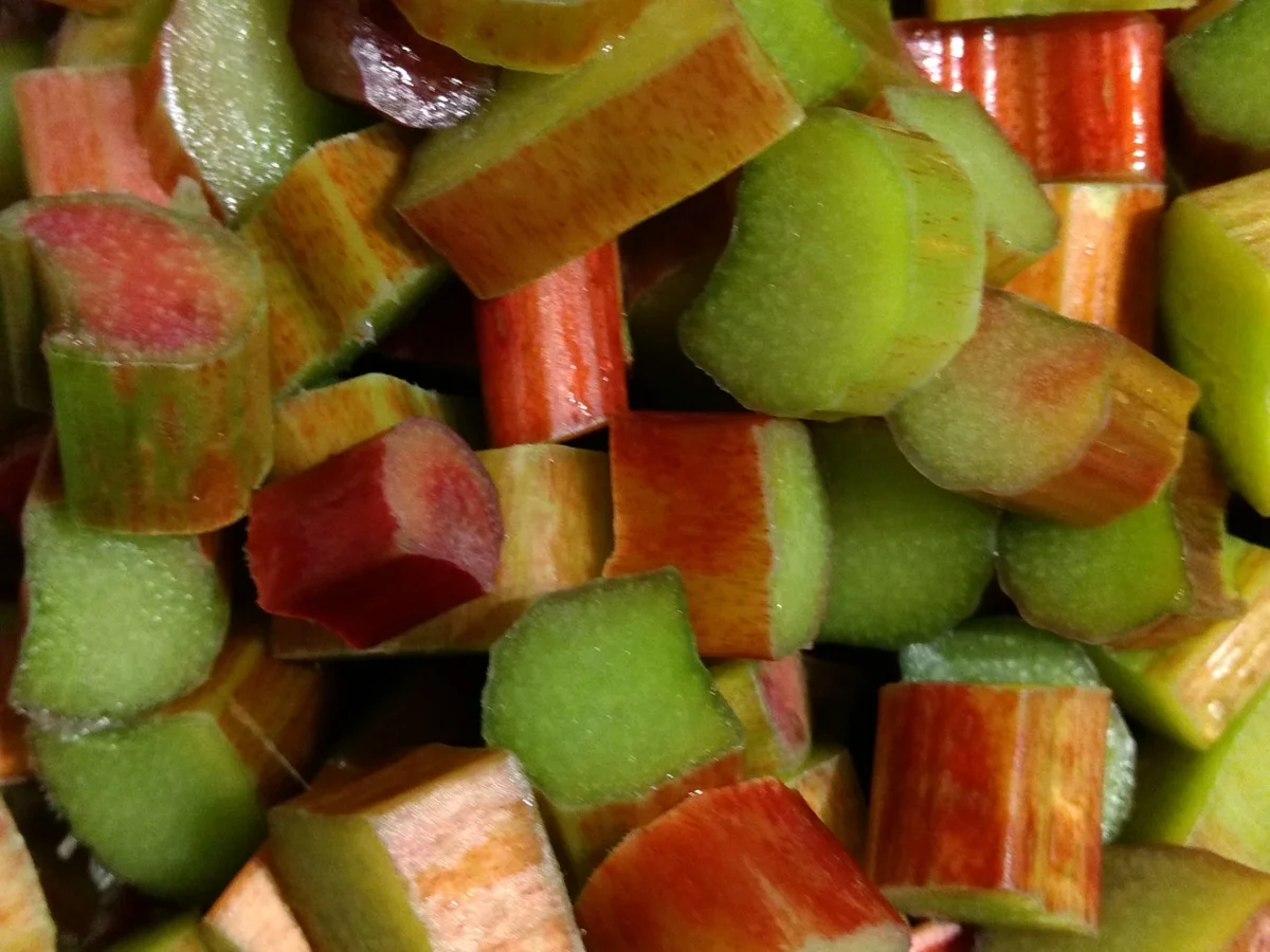 BiNe` S RHABARBERSIRUP - Rezept - Bild Nr. 3