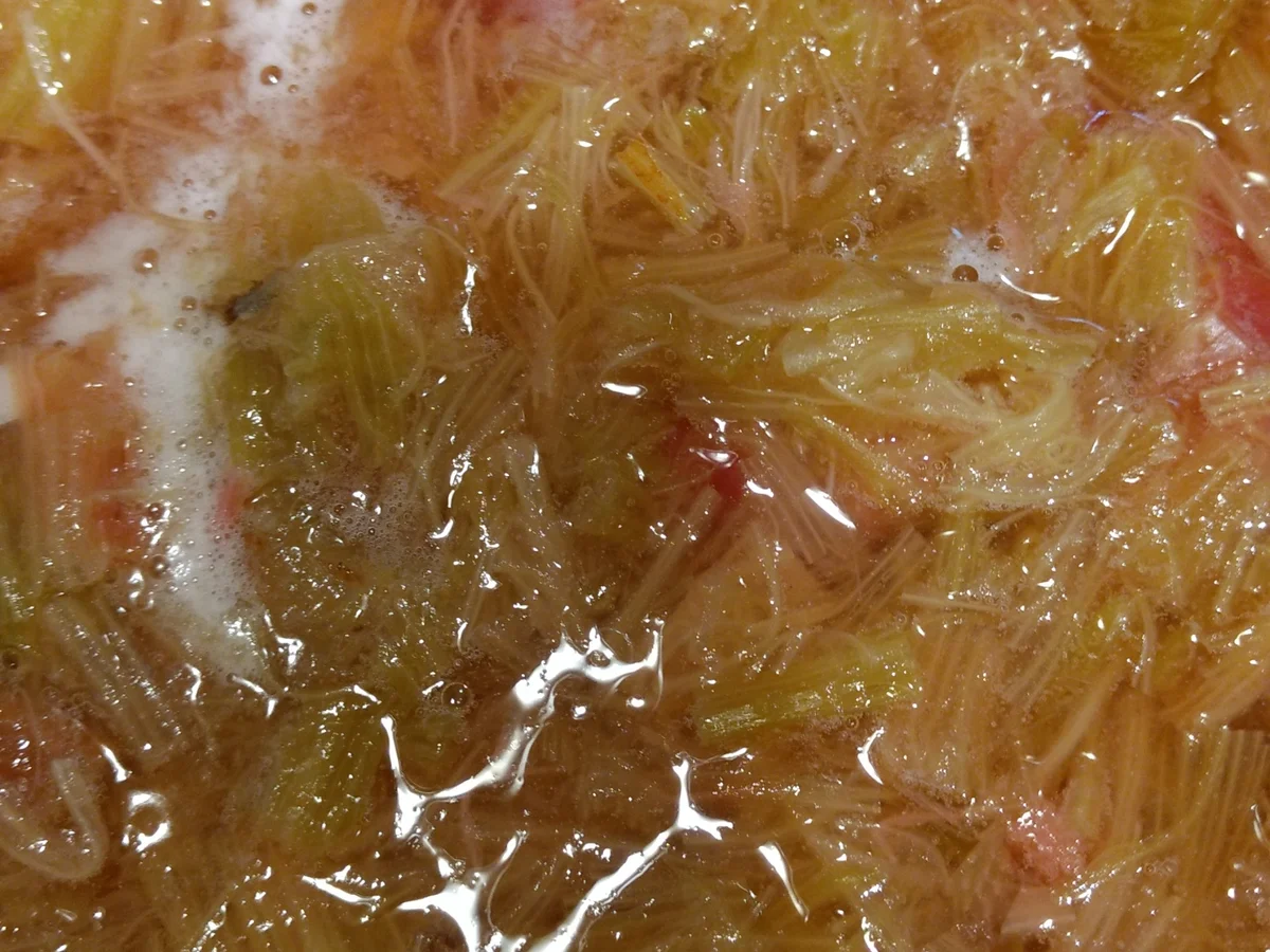 BiNe` S RHABARBERSIRUP - Rezept - Bild Nr. 4