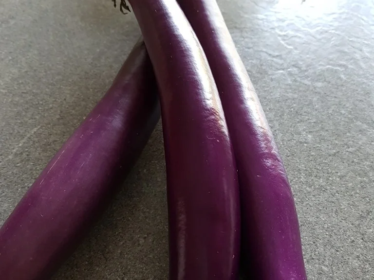 Japanische Auberginen mit Champignons - Rezept - Bild Nr. 3096