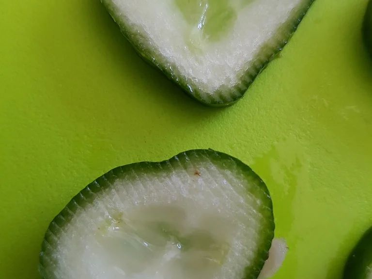 Japanische Auberginen mit Champignons - Rezept - Bild Nr. 3099