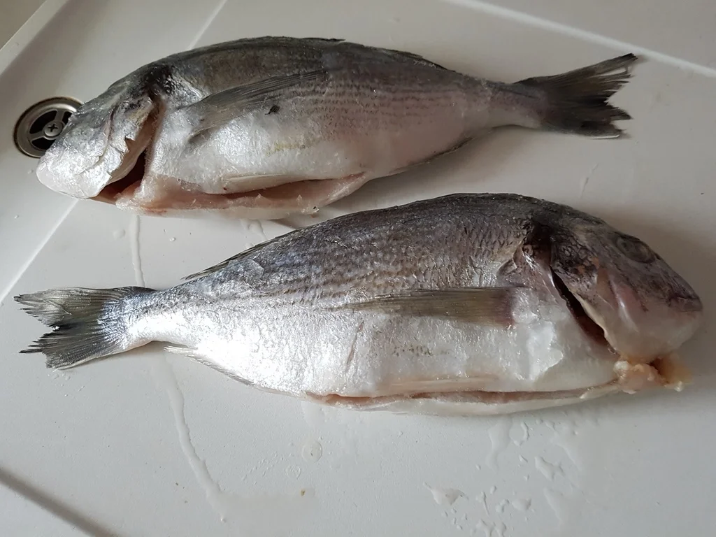 Dorade gebraten dazu frischer Gartensalat à la Biggi - Rezept - Bild Nr. 3112