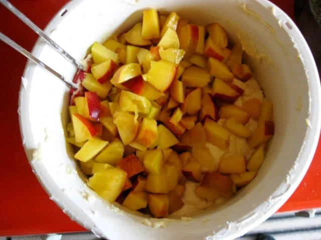 Gugelhupf mit Nektarinen - Rezept - Bild Nr. 3118