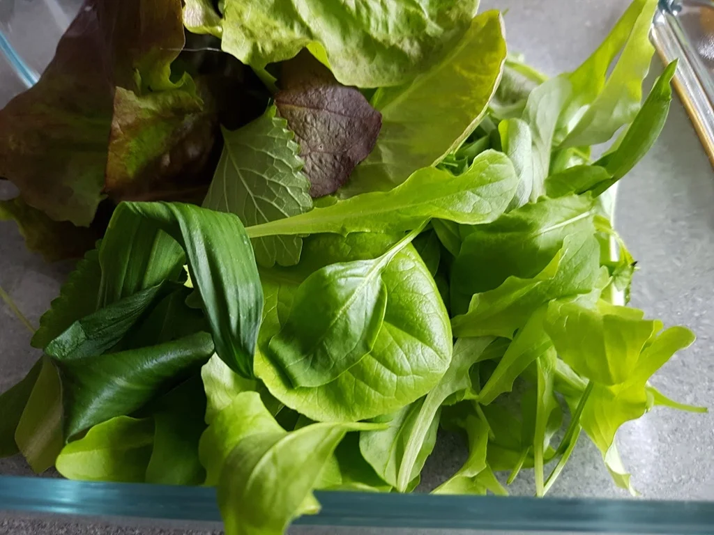 Sommer Salat mein Lieblingssalat zum Picknick - Rezept - Bild Nr. 4