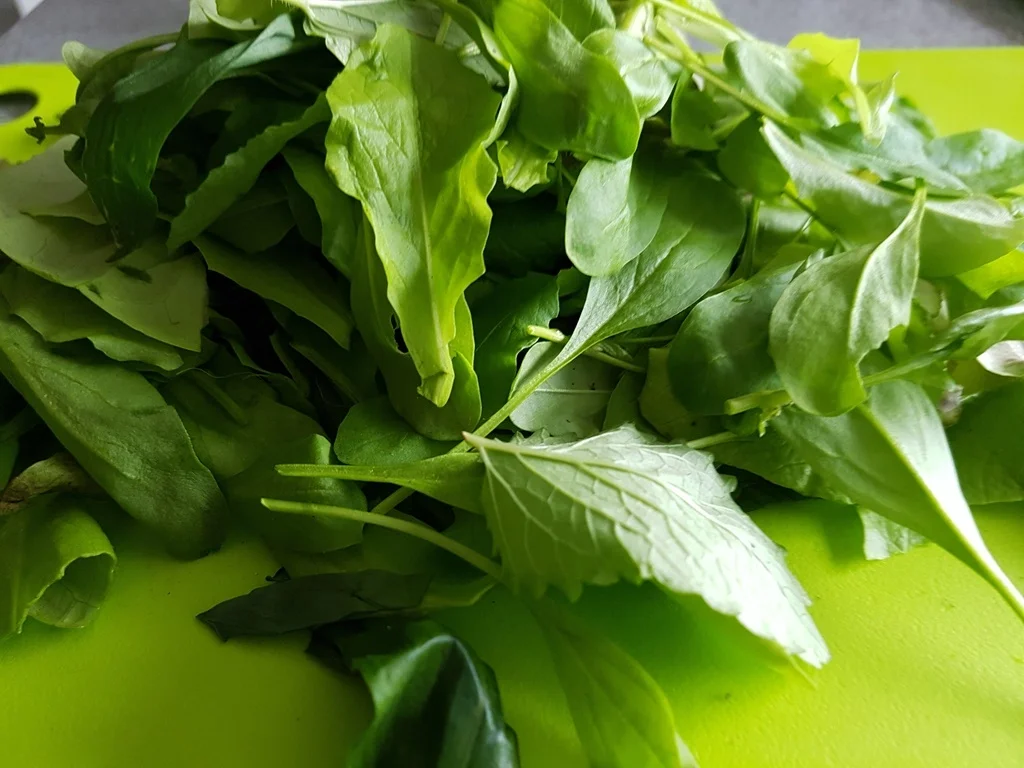 Sommer Salat mein Lieblingssalat zum Picknick - Rezept - Bild Nr. 3