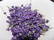 Lavendelsirup - Rezept - Bild Nr. 3131