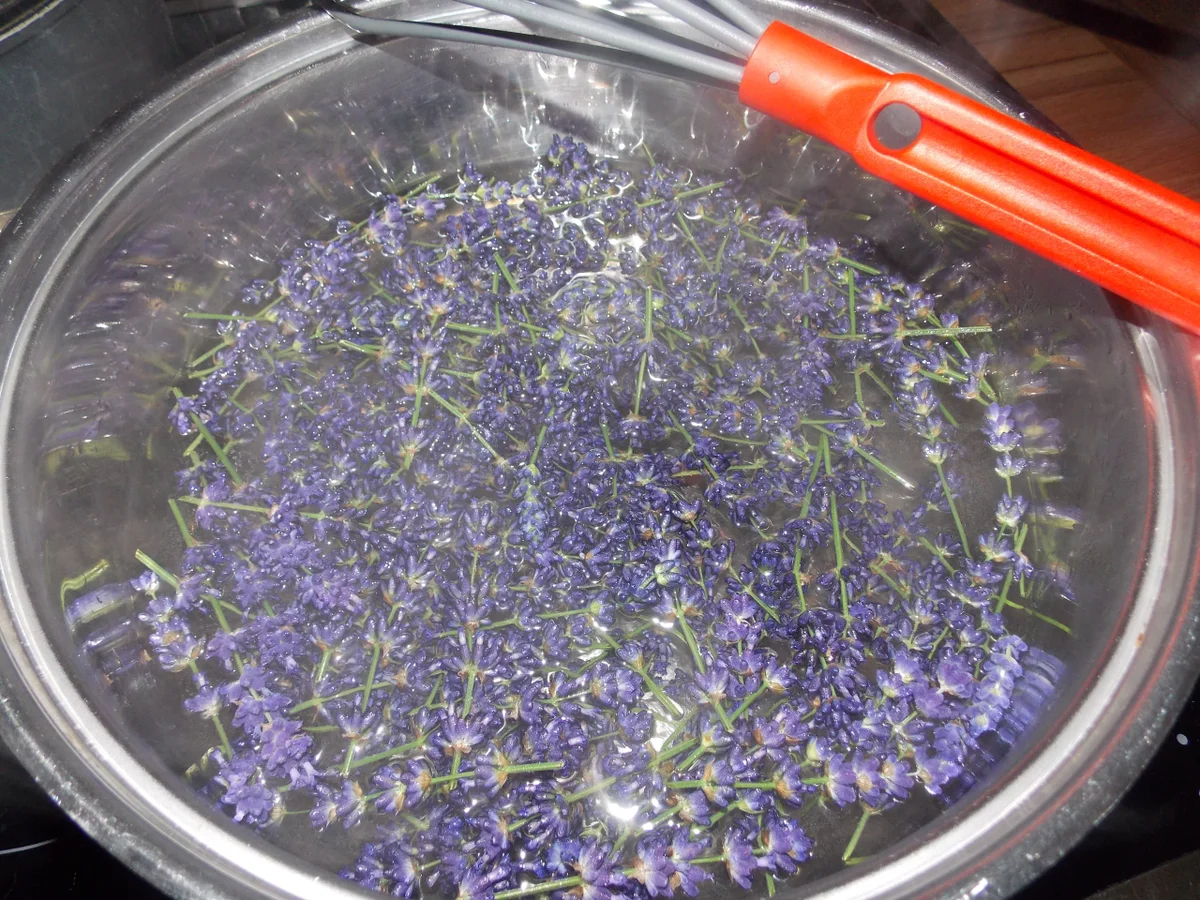 Lavendelsirup - Rezept - Bild Nr. 3132