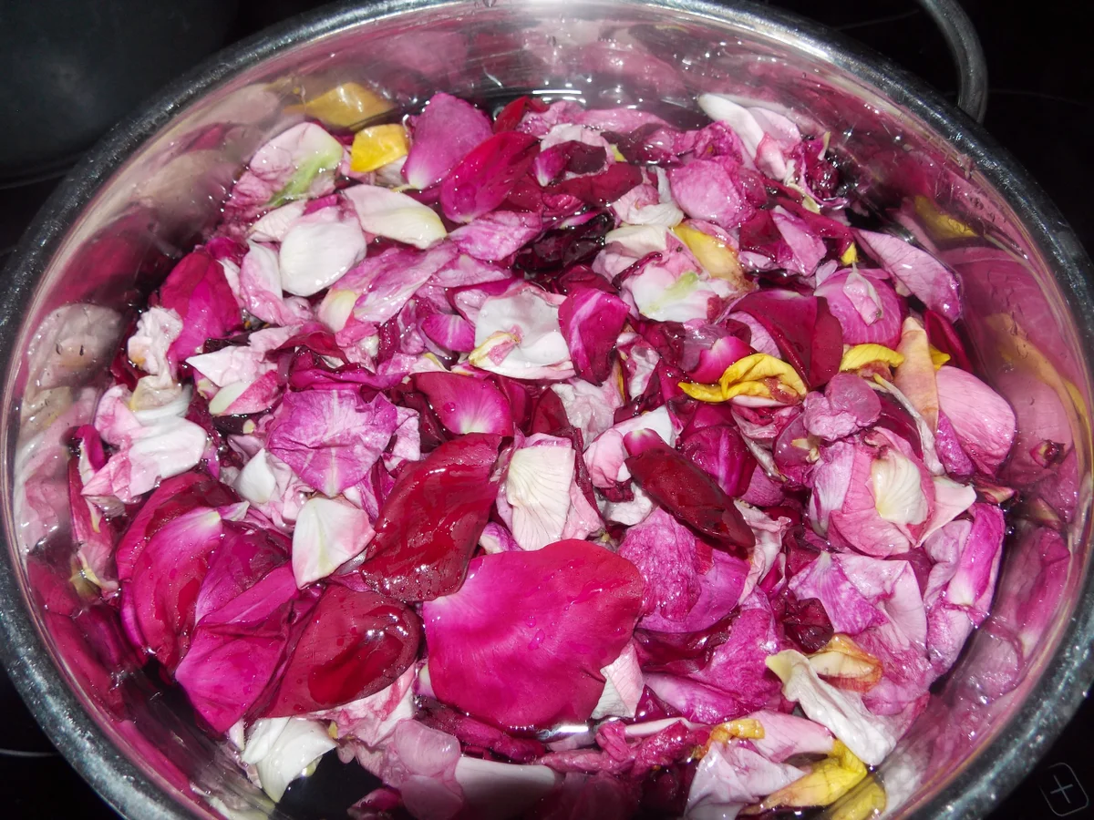 Rosensirup - Rezept - Bild Nr. 3132