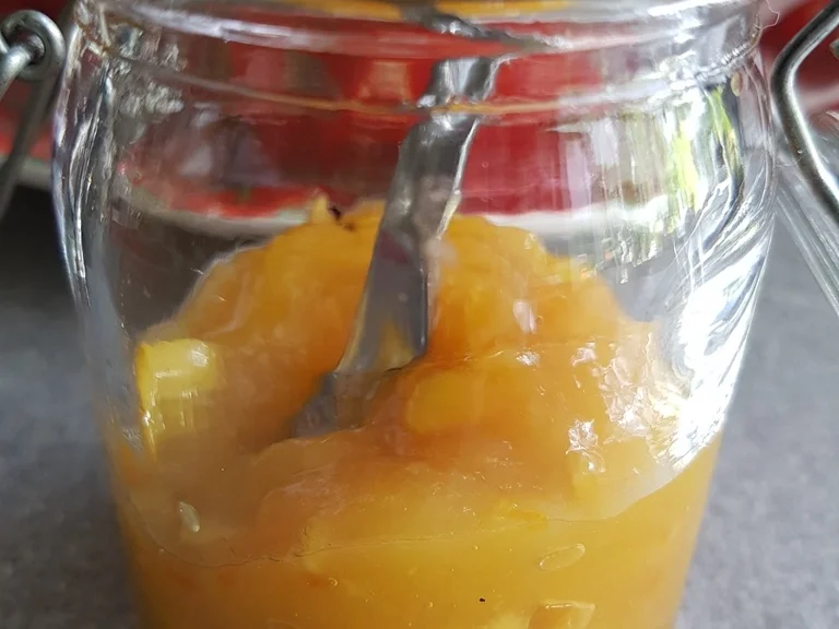 Orangenfruchtcreme Aufstrich - Rezept - Bild Nr. 3137