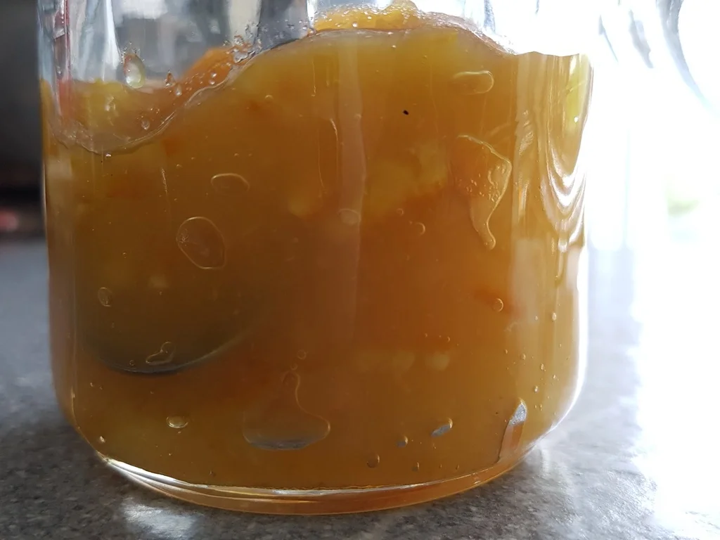 Orangenfruchtcreme Aufstrich - Rezept - Bild Nr. 3141