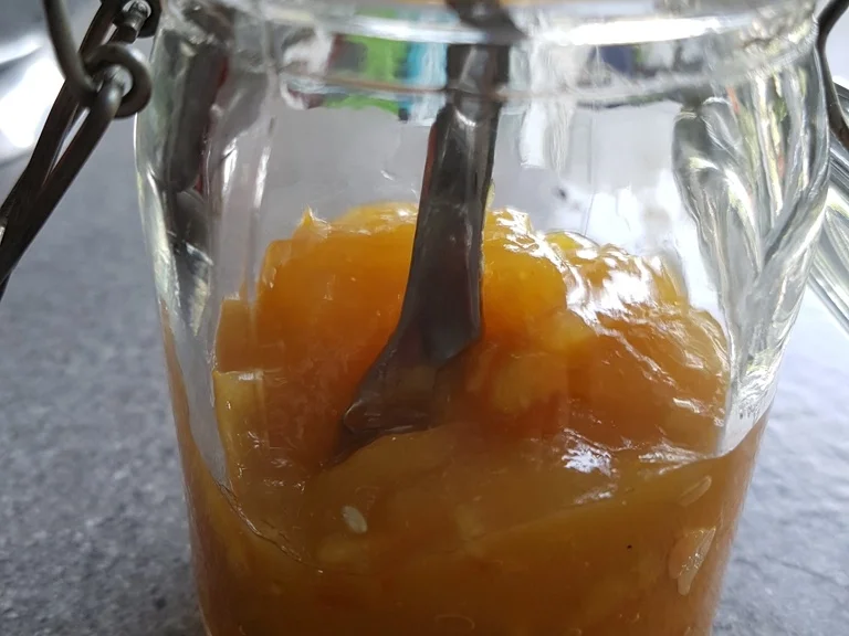 Orangenfruchtcreme Aufstrich - Rezept - Bild Nr. 3142