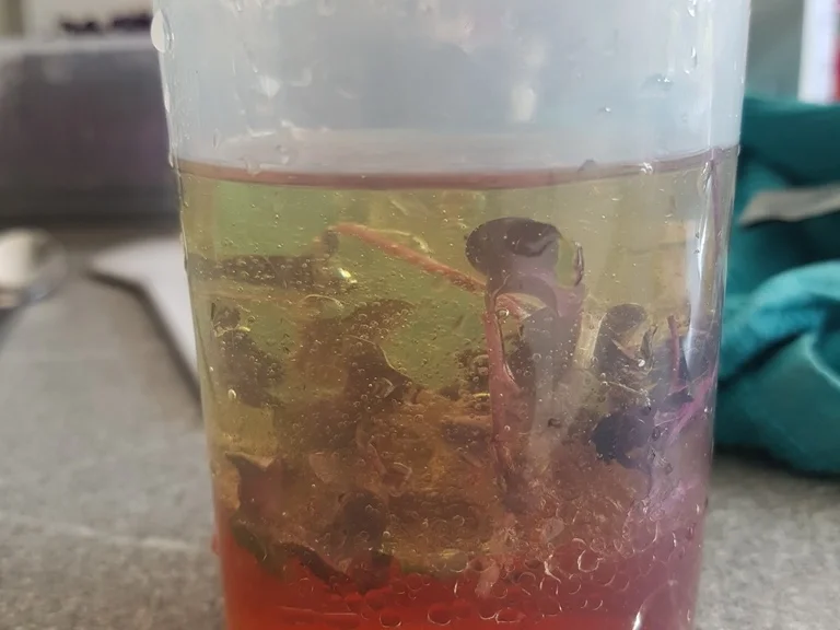 MIX Salat zum Abendbrot inkl. 3 in 1 Rezept - Rezept - Bild Nr. 3160