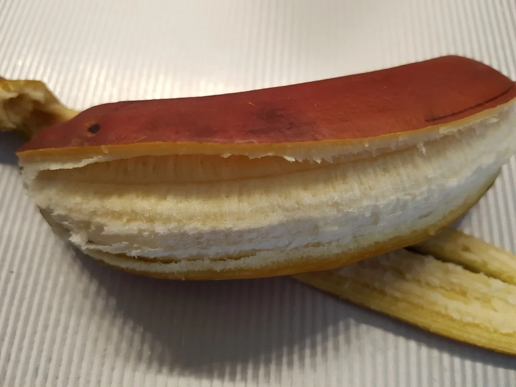 Rezept: Jubeltorte für Viki und Joni Bild Nr. 3194 Jubeltorte für Viki und Joni - Rezept - Bild Nr. 3194