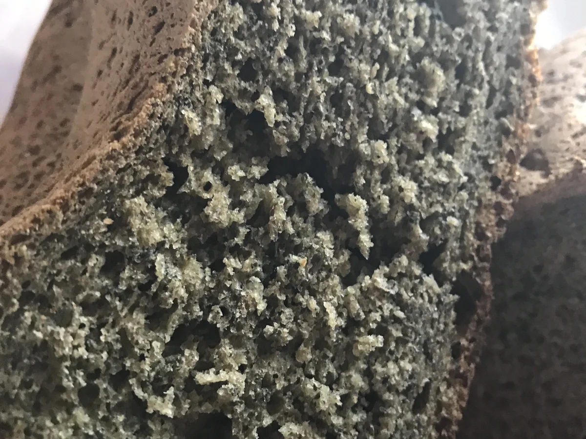 Brennnessel- Speck  Brot   - Rezept - Bild Nr. 3525