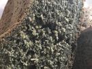 Brennnessel- Speck  Brot   - Rezept - Bild Nr. 3525