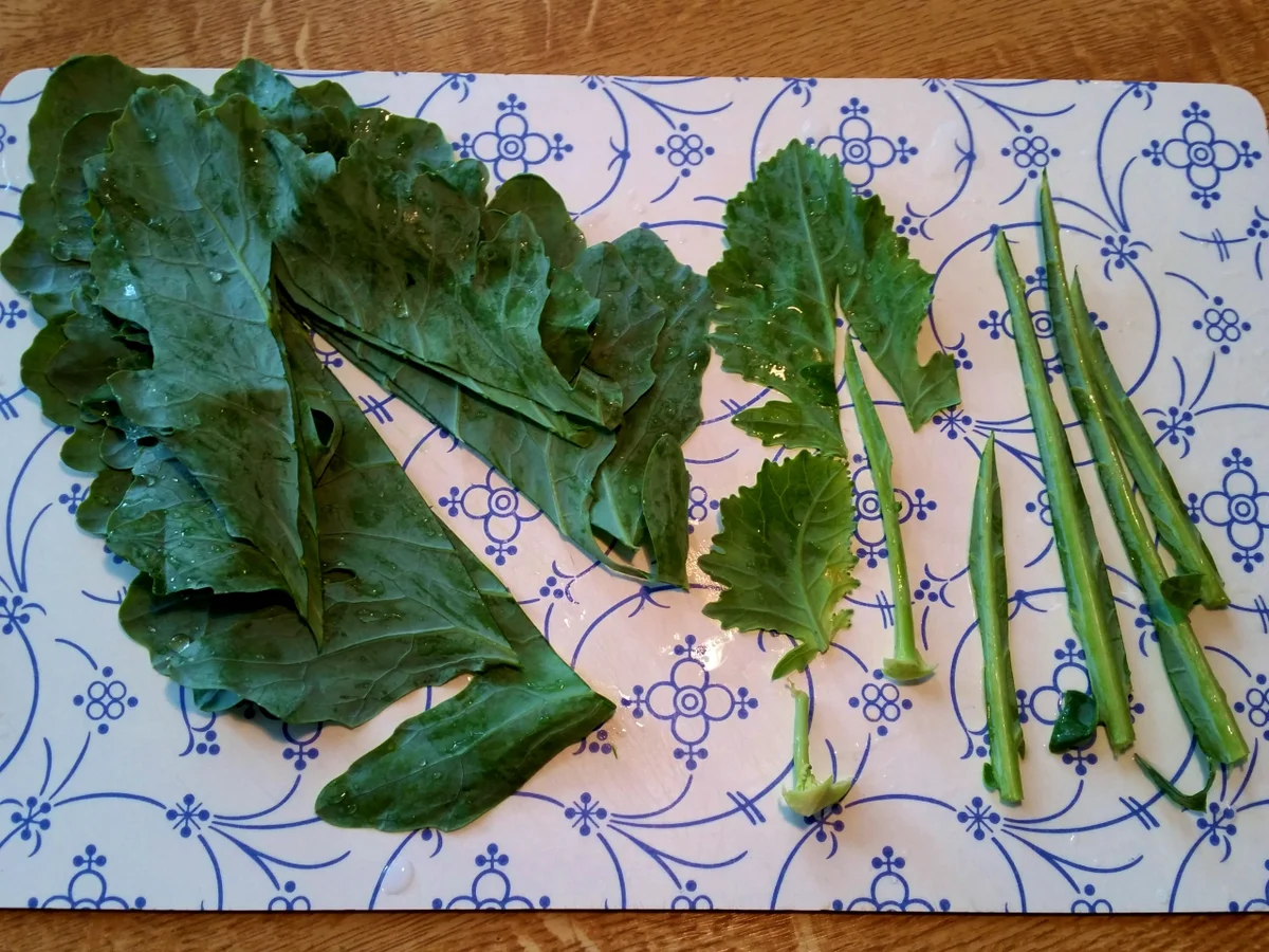 Rezept: Kartoffel-Kohlrabi-Gratin Bild Nr. 3200 Kartoffel-Kohlrabi-Gratin - Rezept - Bild Nr. 3200