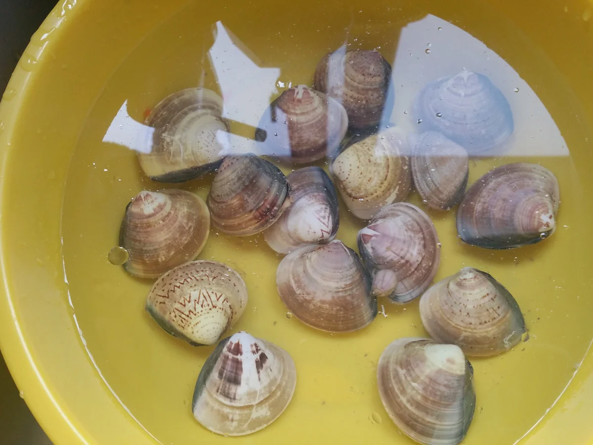 Rezept: Captain´s Dinner Bild Nr. 3197 Captain´s Dinner - Rezept - Bild Nr. 3197