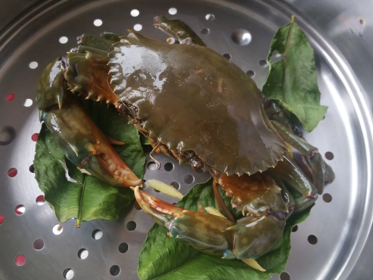 Rezept: Captain´s Dinner Bild Nr. 3198 Captain´s Dinner - Rezept - Bild Nr. 3198