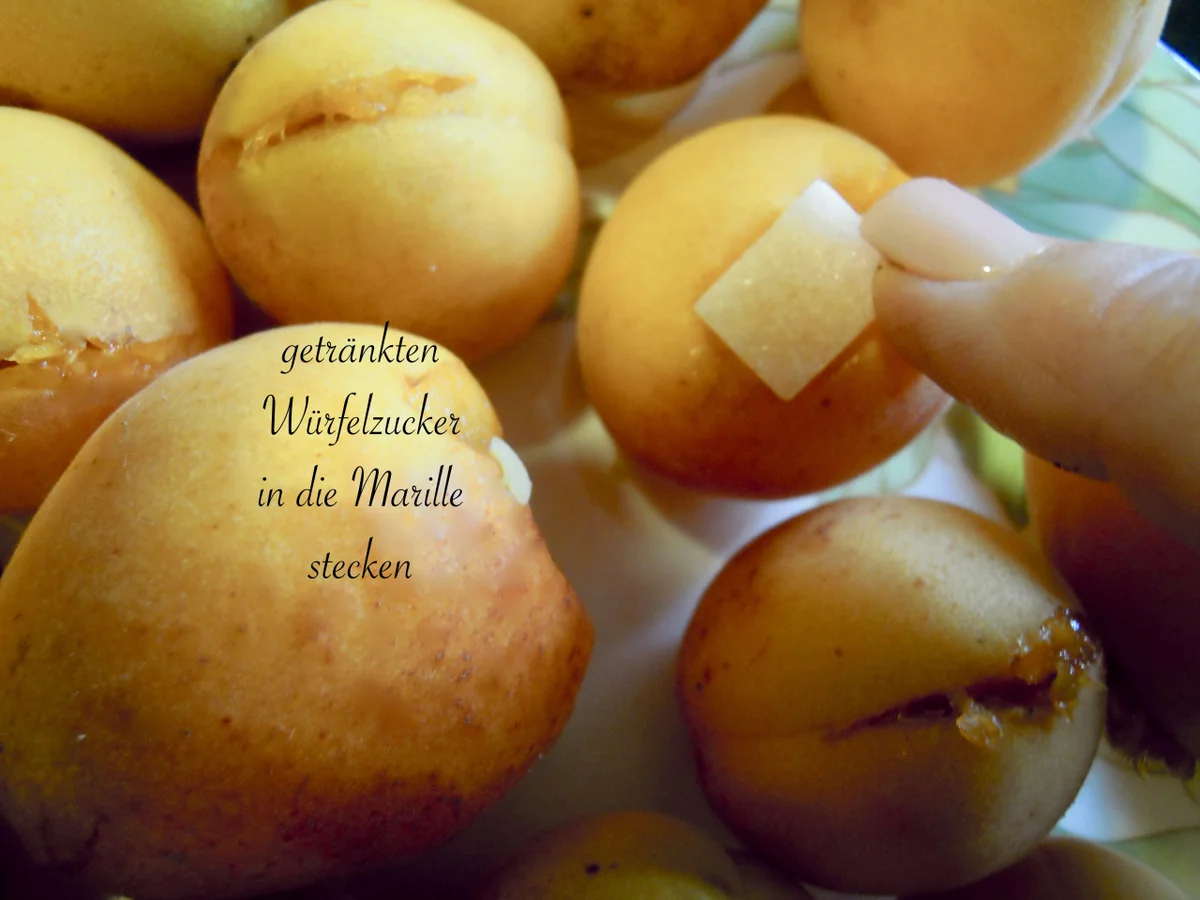 Wachauer Marillen Knödel aus feinem Topfenteig mit Knusperbrösel - Rezept - Bild Nr. 3212