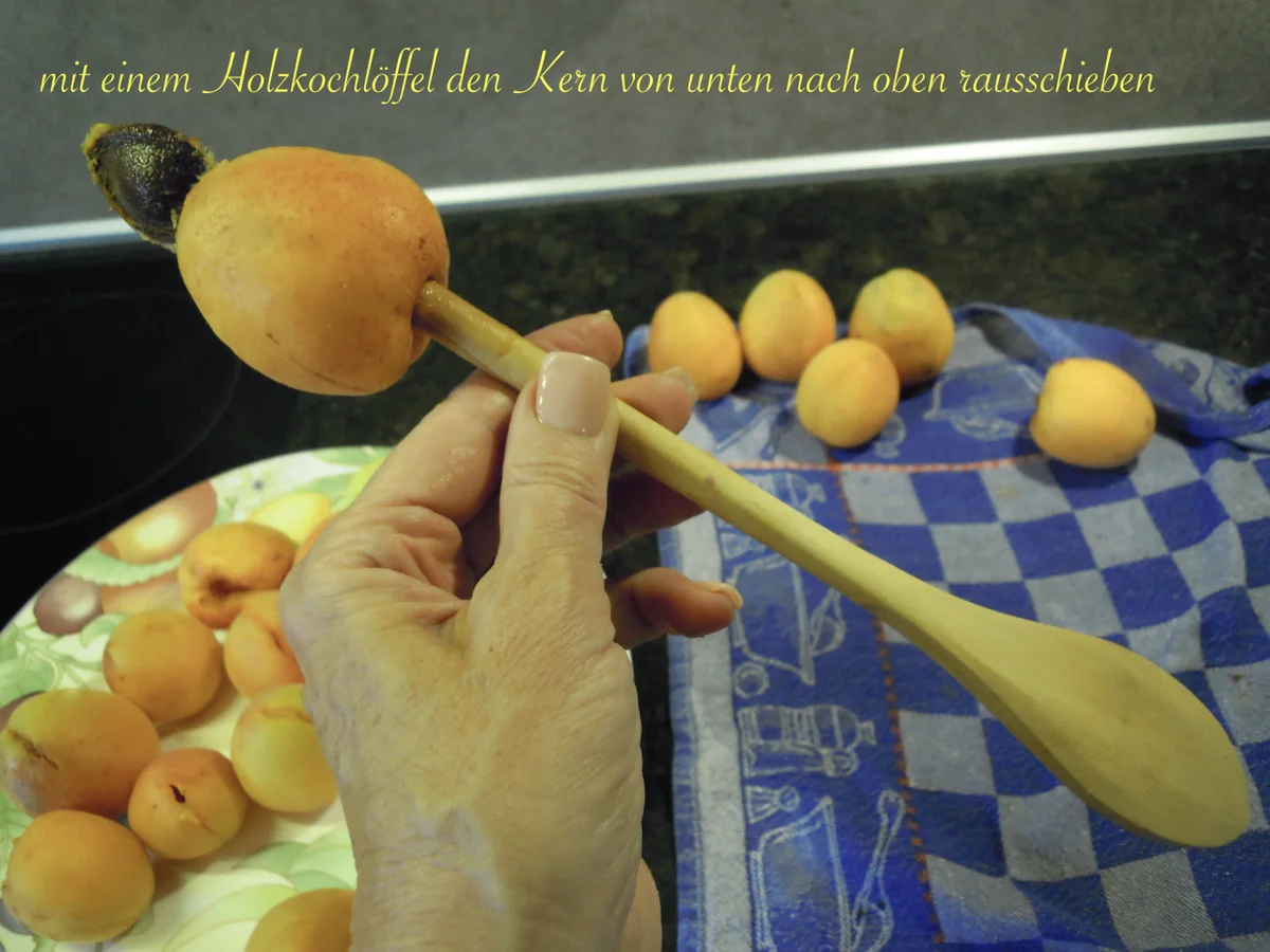 Wachauer Marillen Knödel aus feinem Topfenteig mit Knusperbrösel - Rezept - Bild Nr. 3214