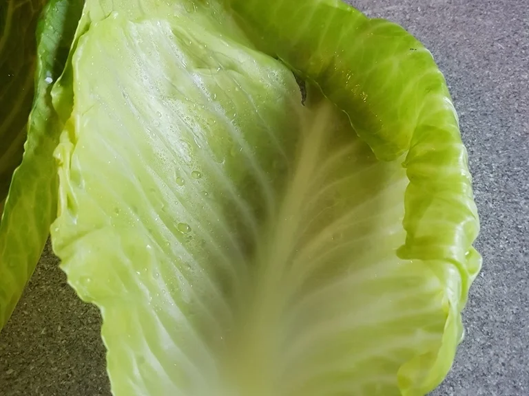 Rezept: Weisskohlroulade ohne Fleisch aber mit Wurst:) Bild Nr. 3231 Weisskohlroulade ohne Fleisch aber mit Wurst:) - Rezept - Bild Nr. 3231