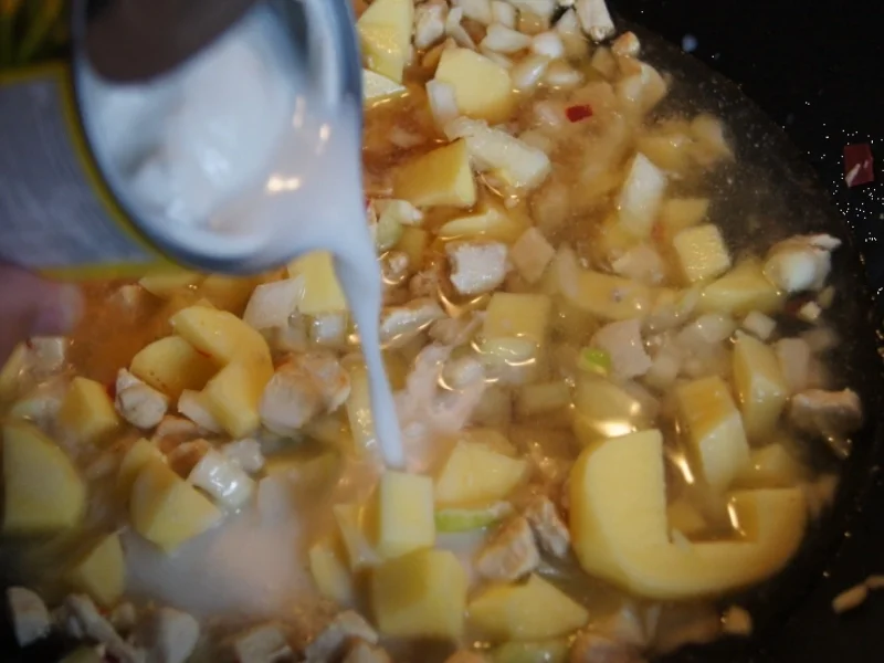 Kartoffelsuppe mit Hähnchenbrustfilet und Kokosmilch - Rezept - Bild Nr. 3214