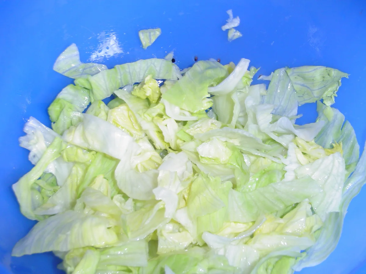 Rezept: Mammas Rigatoni al Forno Bild Nr. 3227 Mammas Rigatoni al Forno - Rezept - Bild Nr. 3227