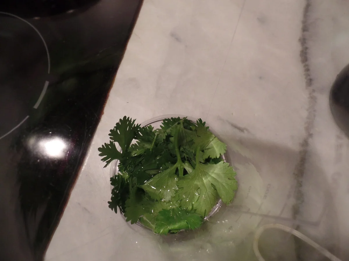 Rezept: Gemüse-Focaccia (Italienisches -Fladenbrot) Bild Nr. 3215 Gemüse-Focaccia (Italienisches -Fladenbrot) - Rezept - Bild Nr. 3215