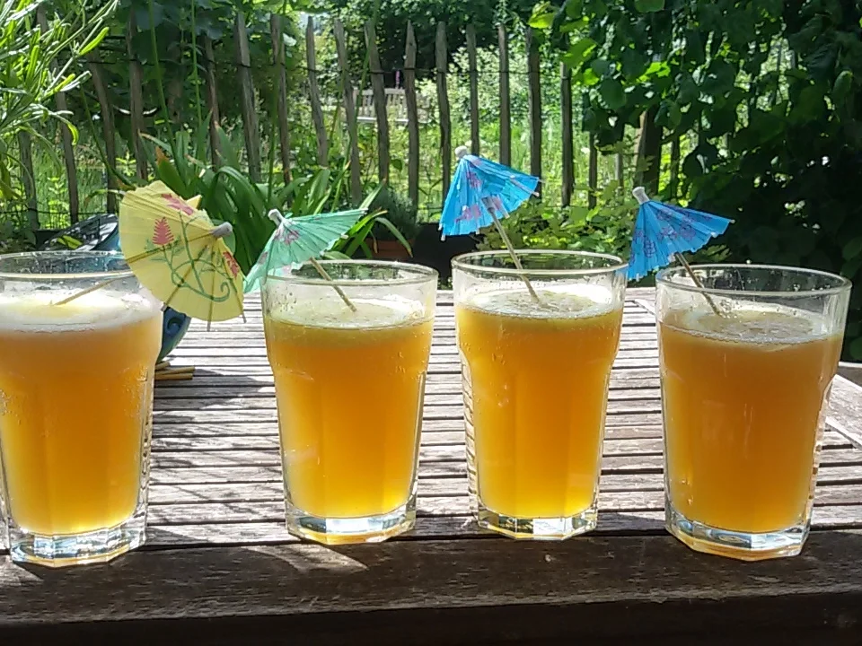 Beach Cocktail - Rezept - Bild Nr. 3210