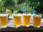 Beach Cocktail - Rezept - Bild Nr. 3210