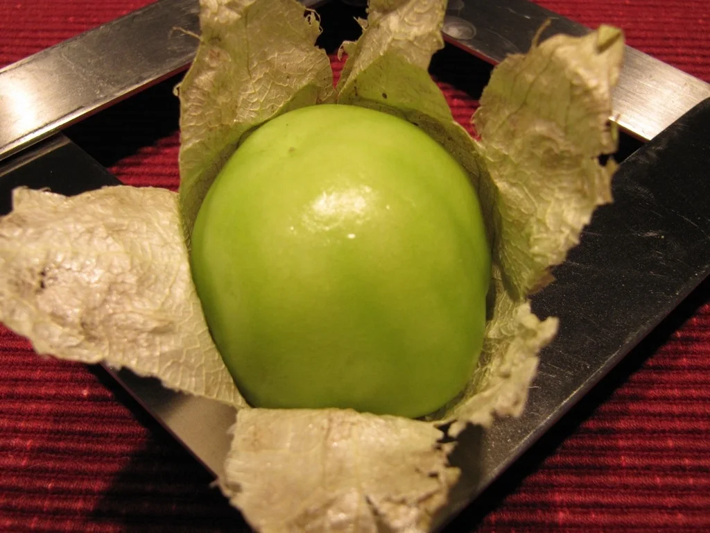 Pilzrahmsosse auf Vorrat (TK) - Rezept - Bild Nr. 3210