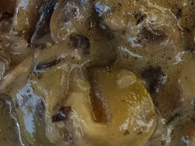 Pilzrahmsosse auf Vorrat (TK) - Rezept - Bild Nr. 3216