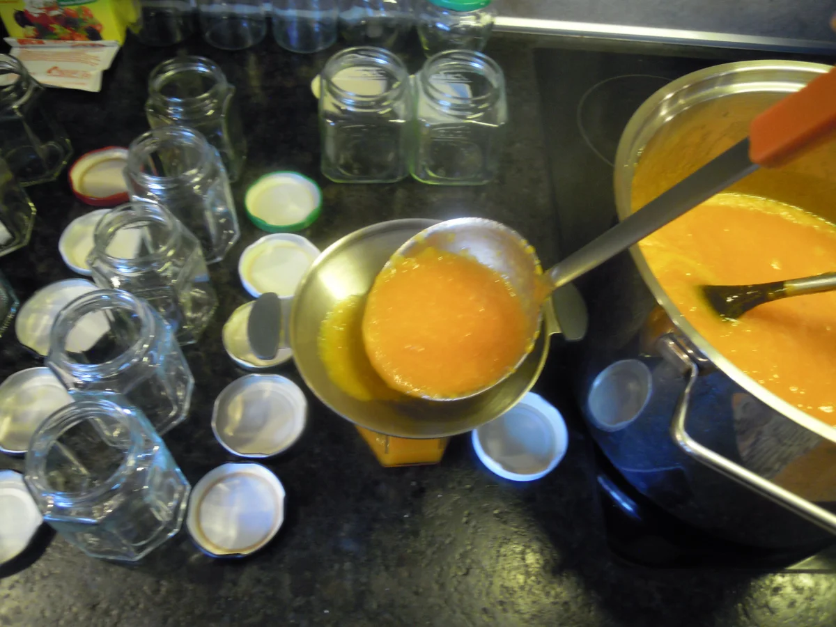 Marillen - Punsch - Marmelade - Rezept - Bild Nr. 3223
