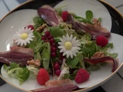 Bunter Mischsalat mit geräucherter Entenbrust - Rezept - Bild Nr. 2