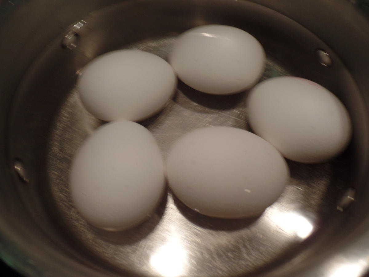 Eier in Tomatensauce mit cremiger Polenta - Rezept - Bild Nr. 3231