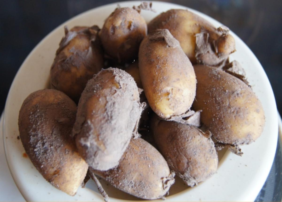 Saltimbocca mit würzigen Kartoffeln - Rezept - Bild Nr. 3235